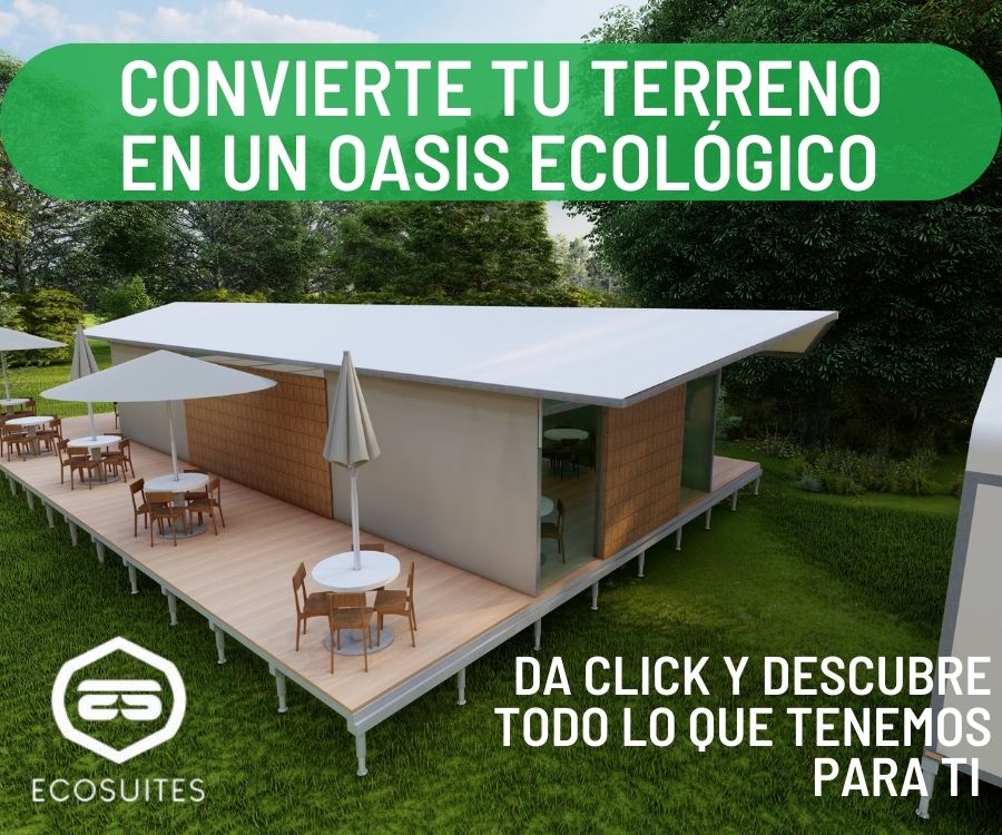 3 NEGOCIOS ALTAMENTE RENTABLES SI TIENES UN TERRENO